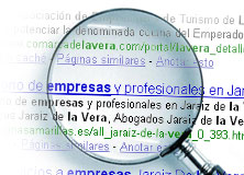 pt-br:lupa_google.jpg